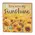 You Are My Sunshine Watercolor Sunflower Block - 3 Asstd., 39036
