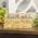 Watercolor Sunflower Mini Sticks - 3 Asstd., 39040