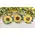 Sunflower Trinket Trays 3 Asstd., 39041