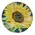 Sunflower Trinket Trays 3 Asstd., 39041