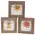Daisy Framed Sign - 3 Asstd. , 39051