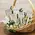 Family, Friend, Teacher Plant Poke - 6 Asstd., 39094