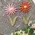 Distressed Wood Flower Magnets - 2 Asstd., 39116