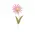 Distressed Wood Flower Magnets - 2 Asstd., 39116