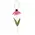 Distressed Wood Coneflower Hanger - 2 Asstd., 39119