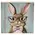 Bunny In Pink Specs Block - 5 In Sq., 51751