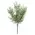 Dusty Rosemary Bush - 11-1/2 In, CB042637