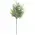 Dusty Rosemary Pick - 12 In, CB042638