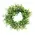 Verdant Baby Eucalyptus Candle Ring - 3-1/4 In, CB042654