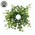 Verdant Baby Eucalyptus Candle Ring - 1 In, CB042655