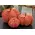 Burnt Orange Waffle Weave Pumpkin, Small