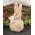 Stuffed Sherpa Bunny Sitter - 9.5"H, CW5006