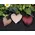 Plush Velvet Heart Ornaments, 3/Set, CW5018