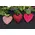 Stuffed Chenille Valentine Heart Ornament - 3 Asstd., CW5068