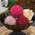 Valentine Chenille Wrapped Bowl Filler - 2.5" - 3 Asstd., CW5069