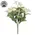 White Jasmine Bush - 10 In, DWC302601
