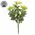 Yellow Jasmine Bush - 10 In, DWC302602