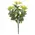 Yellow Jasmine Bush - 10 In, DWC302602