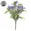 Purple Jasmine Bush - 10 In, DWC302603