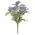 Purple Jasmine Bush - 10 In, DWC302603