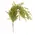 19" Hanging Baby's Grass Bush