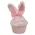 Bunny Ears Cupcake Sitter, SA112668