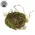 Mossy Twig Bird Nest - 6 In, QE152651