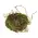 Mossy Twig Bird Nest - 6 In, QE152651