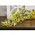Field of Joy Garland - 4 Ft., SA112632