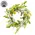 Field of Joy Candle Ring - 6.5", SA112633