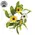 Field of Joy Candle Ring - 1.5", SA112635