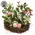 New Growth Blooms & Eggs Nest - 6 In, SA112659
