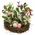 New Growth Blooms & Eggs Nest - 6 In, SA112659
