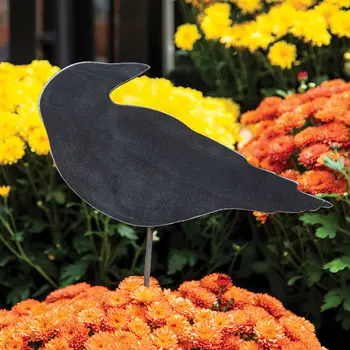 Wooden Crow Planter Stake Topper, 6.5"H, 38059