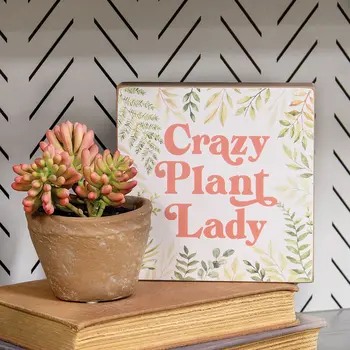 Crazy Plant Lady Box Sign, 38988