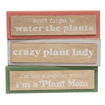 Plant Lady Mini Block - 3 Asstd., 38989