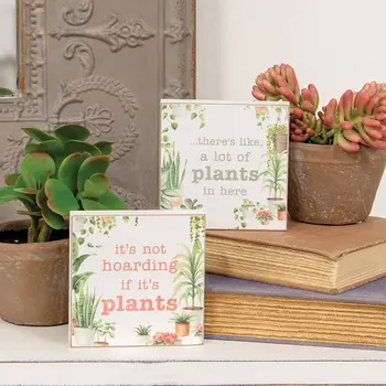 Hoarding Plants Block - 2 Asstd., 38995