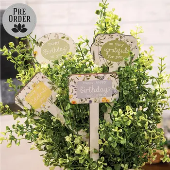 Gifting Plant Poke - 4 Asstd., 39095