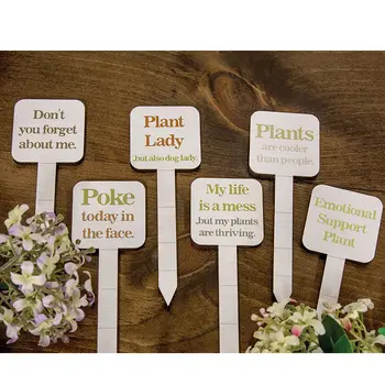 Plant Lady Poke - 6 Asstd., 39098