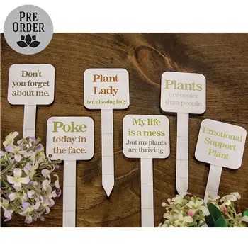 Plant Lady Poke - 6 Asstd., 39098