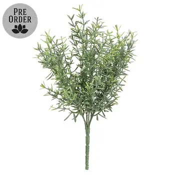 Dusty Rosemary Bush - 11-1/2 In, CB042637
