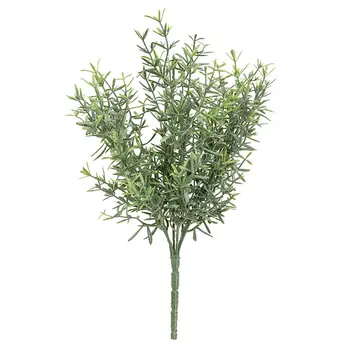Dusty Rosemary Bush - 11-1/2 In, CB042637