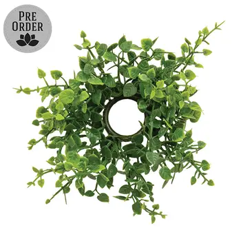 Verdant Baby Eucalyptus Candle Ring - 1 In, CB042655
