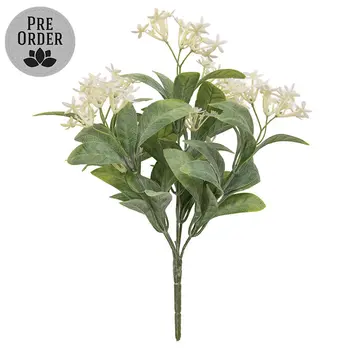 White Jasmine Bush - 10 In, DWC302601