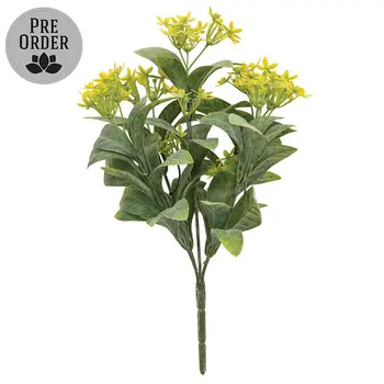 Yellow Jasmine Bush - 10 In, DWC302602