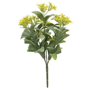 Yellow Jasmine Bush - 10 In, DWC302602