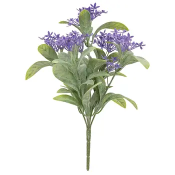Purple Jasmine Bush - 10 In, DWC302603