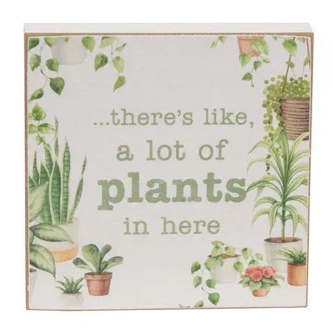 Hoarding Plants Block - 2 Asstd., 38995