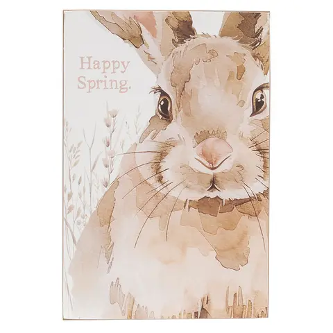 Happy Easter or Spring Watercolor Bunny Box Sign - 2 Asstd., 39078