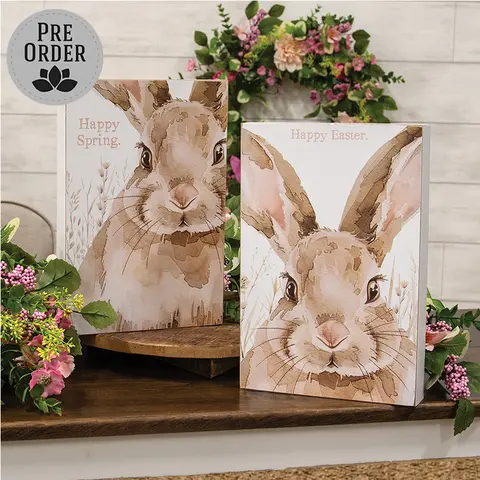 Happy Easter or Spring Watercolor Bunny Box Sign - 2 Asstd., 39078